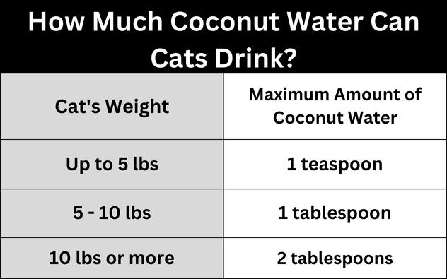 How Much Coconut Water Can Cats Drink?