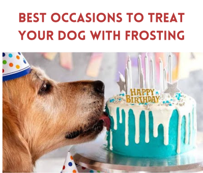 best occasions to treat your dog with frosting