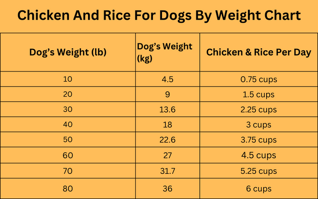 How much chicken and rice should you feed your dog