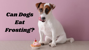 Can Dogs Eat Frosting?