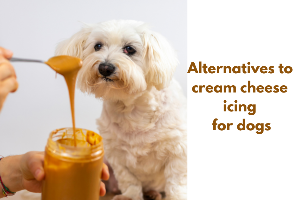 Alternatives to cream cheese icing for dogs