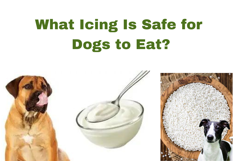 What Icing Is Safe for Dogs to Eat?