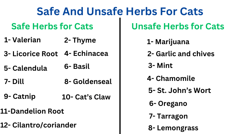 Herbs that are harmful to cats