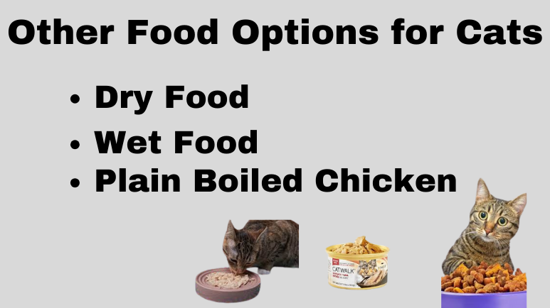 Other Food Options for Cats