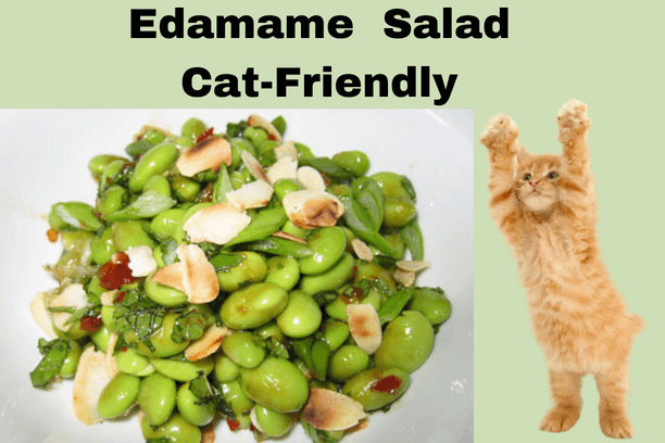 edamame salad for cats