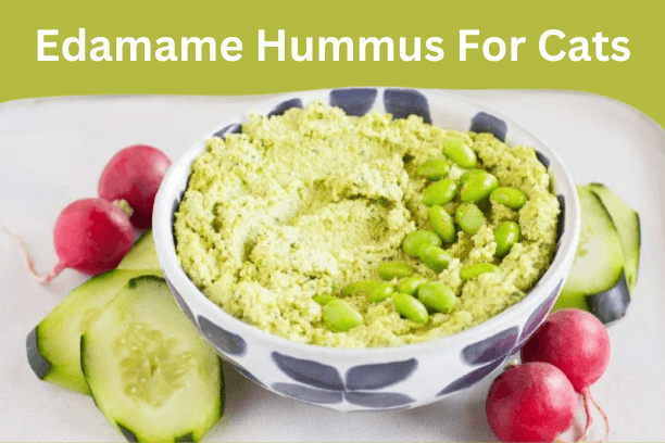 Edamame Hummus for cats