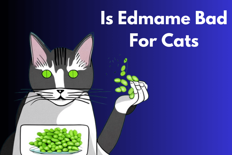 Is Edamame Bad for Cats 