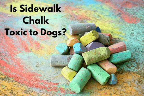 Is sidewalk chalk toxic to dogs?