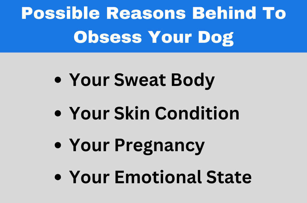 Possible reasons Behind to Obsess your dog