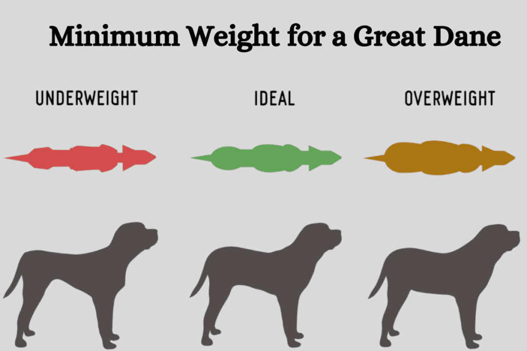 Minimum Weight for a Great Dane