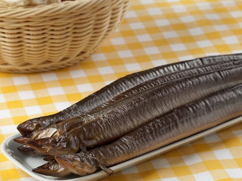 Risks of Eel for Dogs