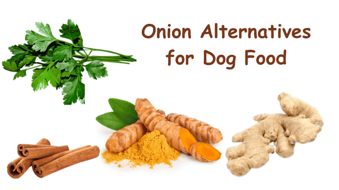 Onion Alternatives for Dog Food