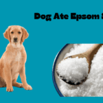 dog ate Epsom salt